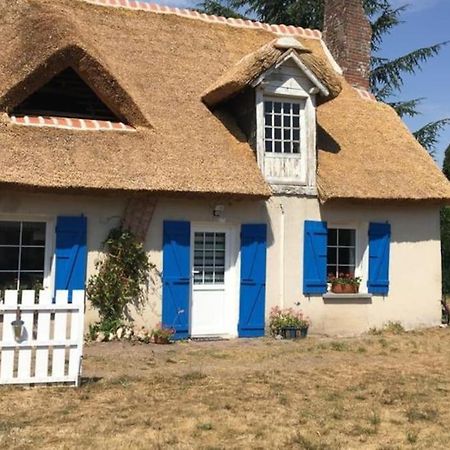 Chaumiere Avec Sa Toiture Recouverte De Chaume !!! Donnemain-Saint-Mames Exteriör bild
